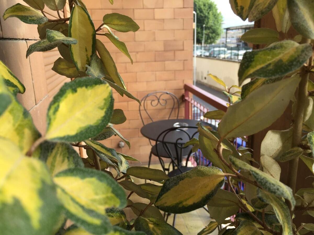 Double Room with Private Bathroom,1742947623:JPEG