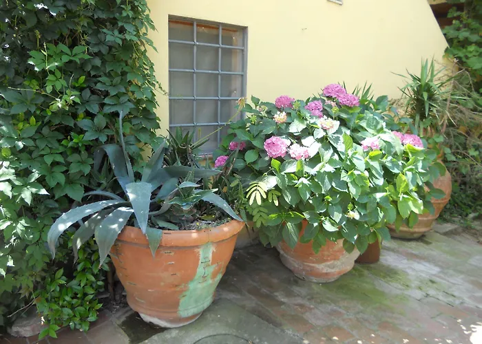 Casa vacanza: Agriturismo Le Macine